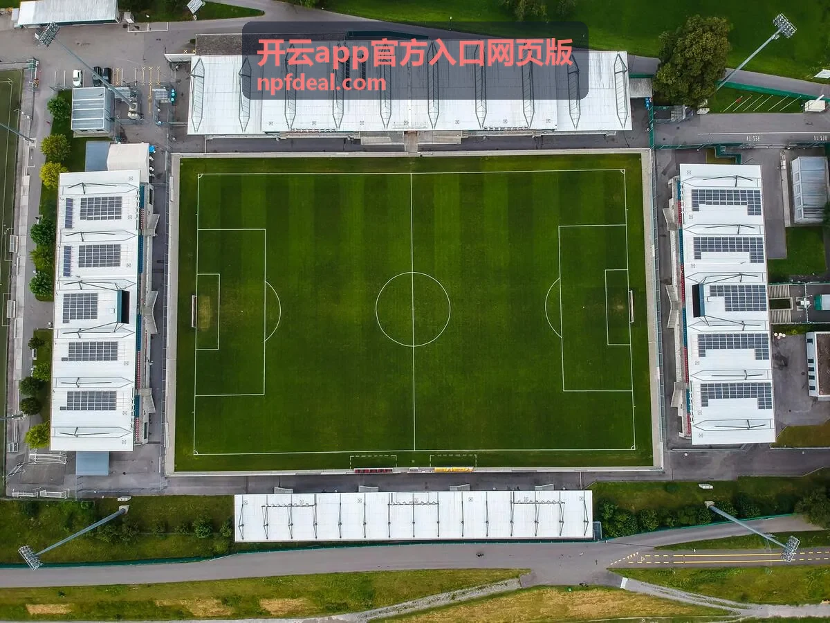 开云app官方入口网页版备用线路通道封面